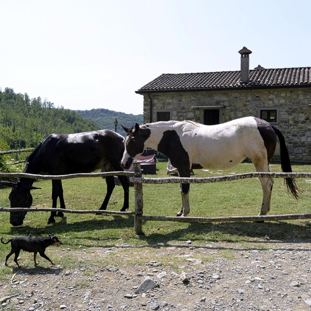 Le Chianine Dei Tognoli Villa Gragnola Exterior foto