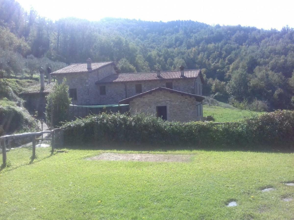 Le Chianine Dei Tognoli Villa Gragnola Exterior foto