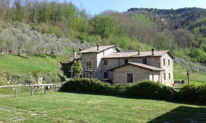Le Chianine Dei Tognoli Villa Gragnola Exterior foto