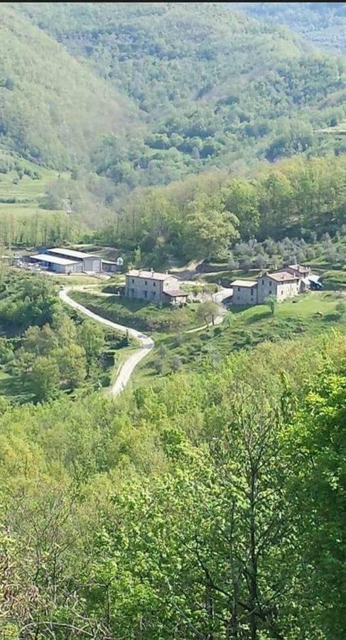 Le Chianine Dei Tognoli Villa Gragnola Exterior foto